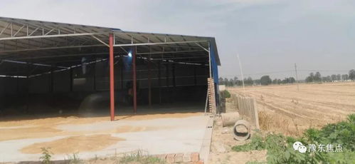 河南虞城大侯鄉 養豬廠轉型收糧站，發展家禽養殖新路徑