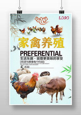 家禽養(yǎng)殖 開啟綠色健康致富之路